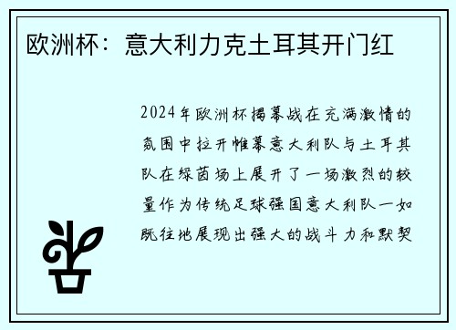 欧洲杯：意大利力克土耳其开门红