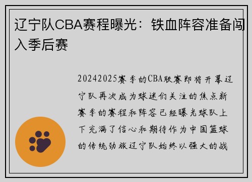辽宁队CBA赛程曝光：铁血阵容准备闯入季后赛