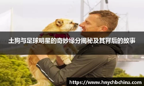 土狗与足球明星的奇妙缘分揭秘及其背后的故事